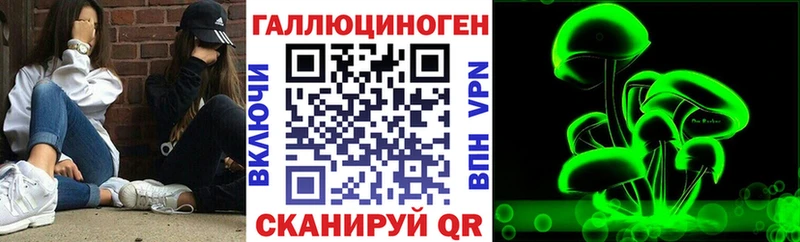Псилоцибиновые грибы MAGIC MUSHROOMS  Кисловодск 